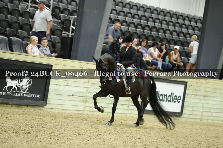 Proof 24BUCK_09466