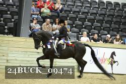 24BUCK_09474 proof