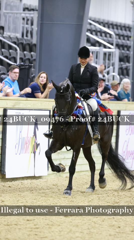 Proof 24BUCK_09476