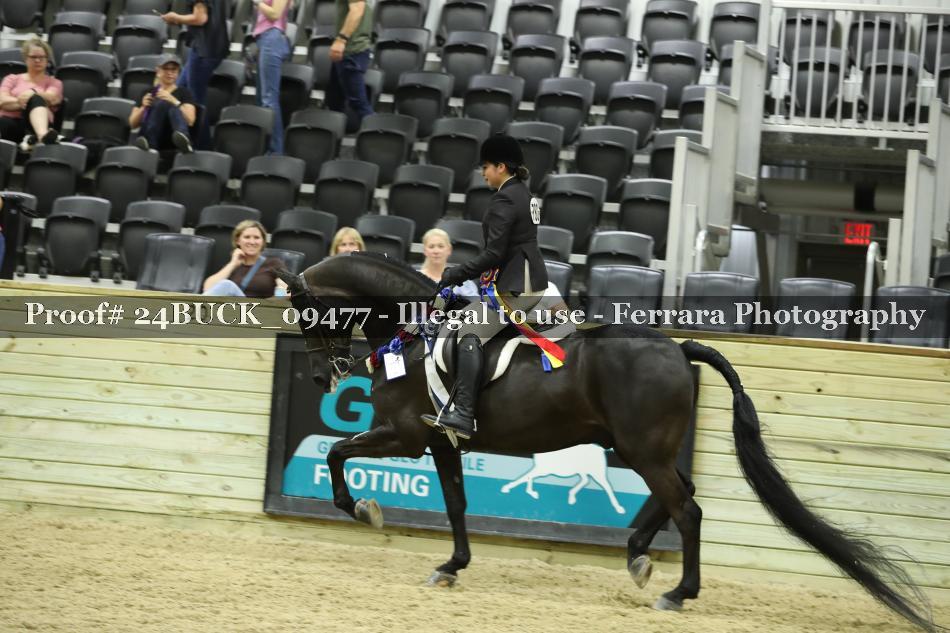 Proof 24BUCK_09477