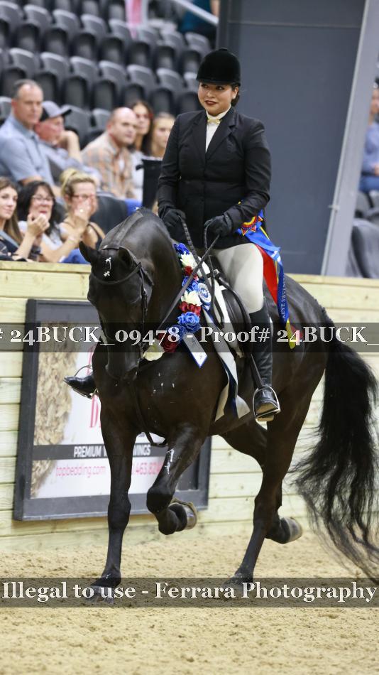 Proof 24BUCK_09478