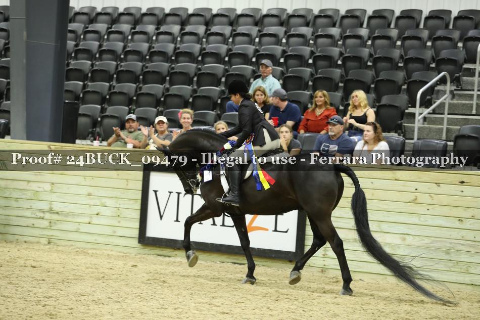 Proof 24BUCK_09479