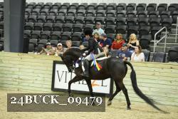 24BUCK_09479 proof