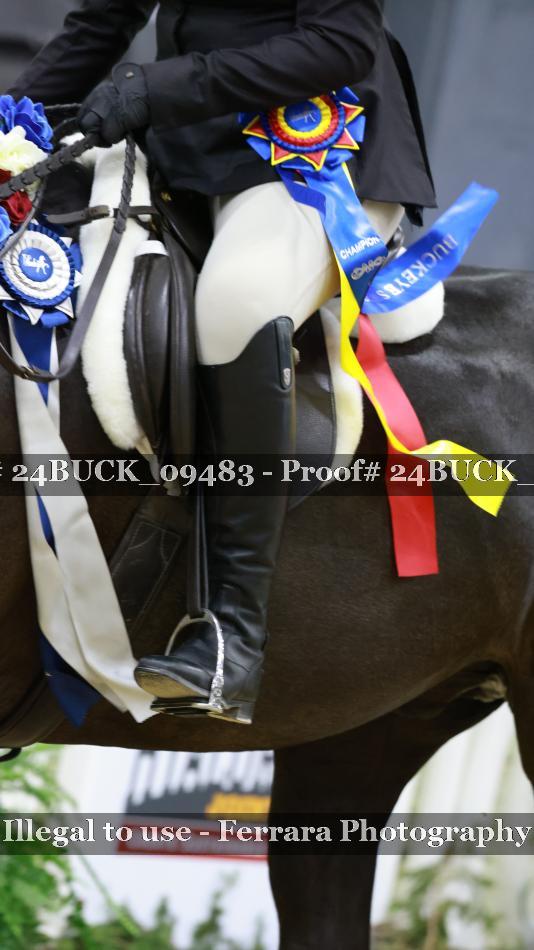 Proof 24BUCK_09483