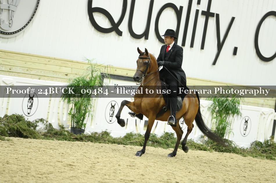 Proof 24BUCK_09484
