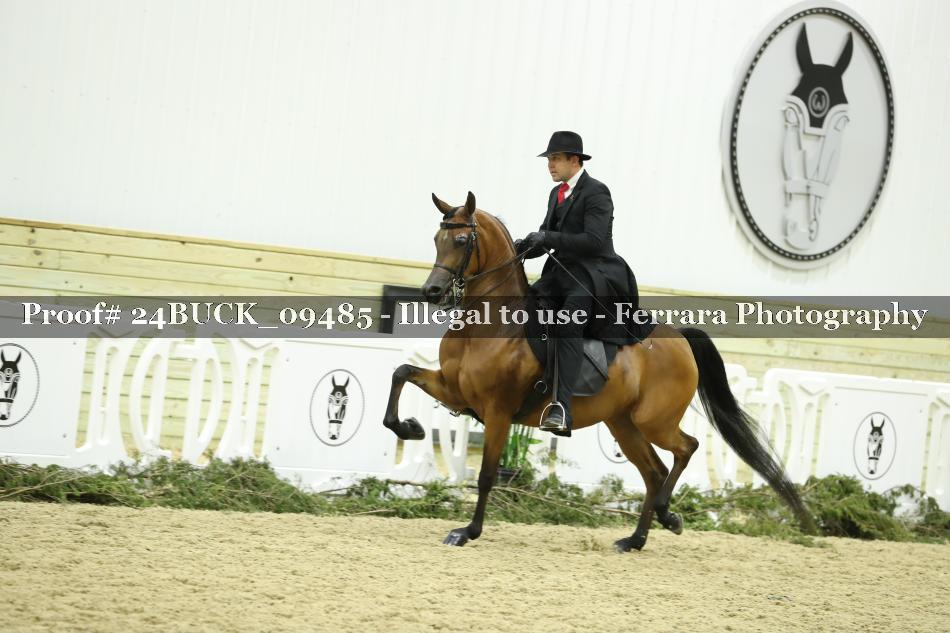 Proof 24BUCK_09485
