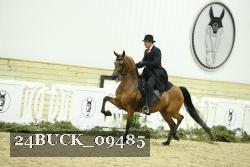 24BUCK_09485 proof