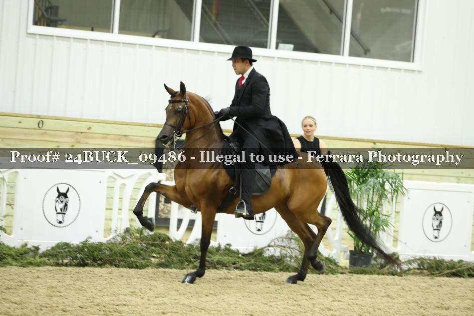 Proof 24BUCK_09486