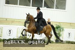 24BUCK_09486 proof
