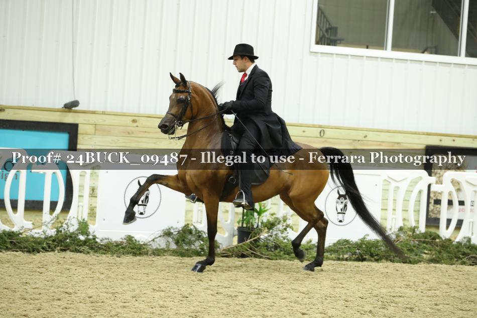 Proof 24BUCK_09487
