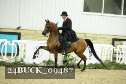 24BUCK_09487 proof