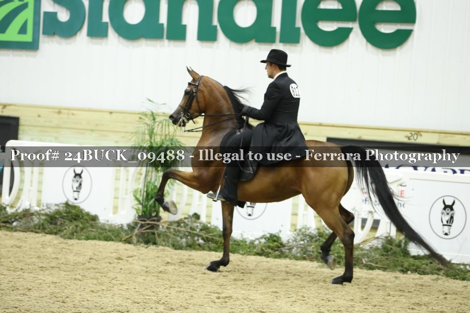 Proof 24BUCK_09488