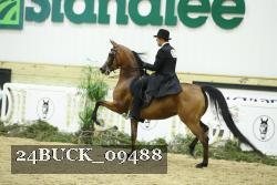24BUCK_09488 proof
