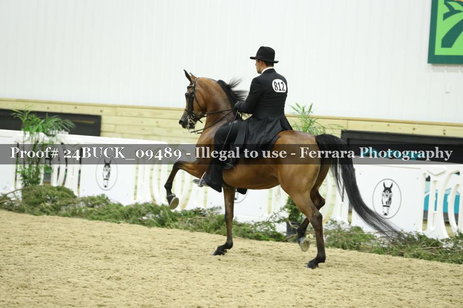 Proof 24BUCK_09489