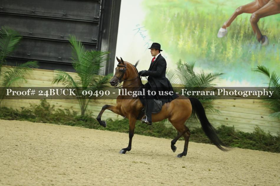 Proof 24BUCK_09490