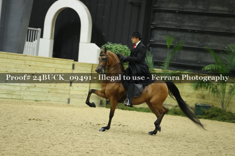 Proof 24BUCK_09491