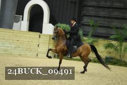 24BUCK_09491 proof