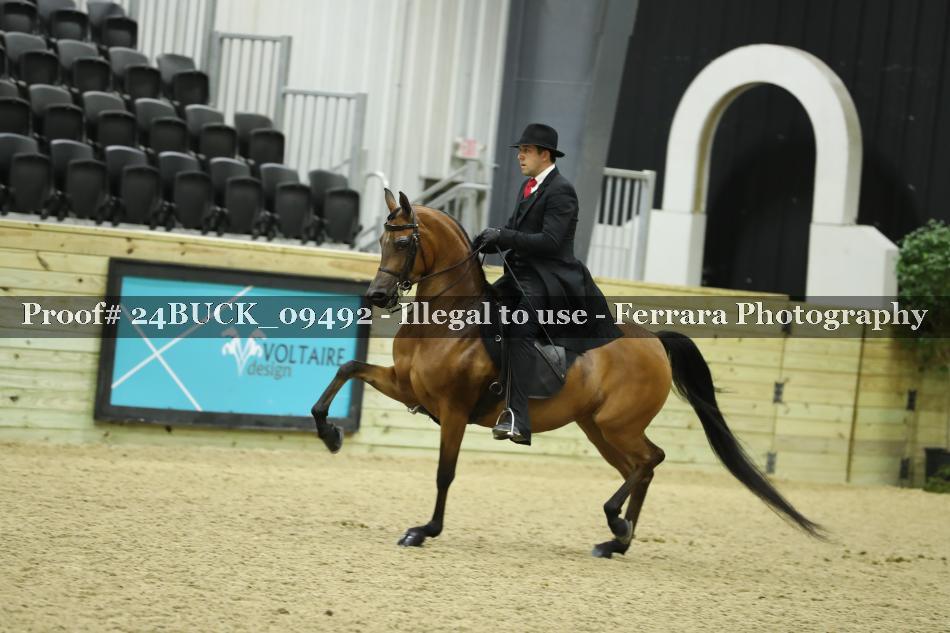 Proof 24BUCK_09492