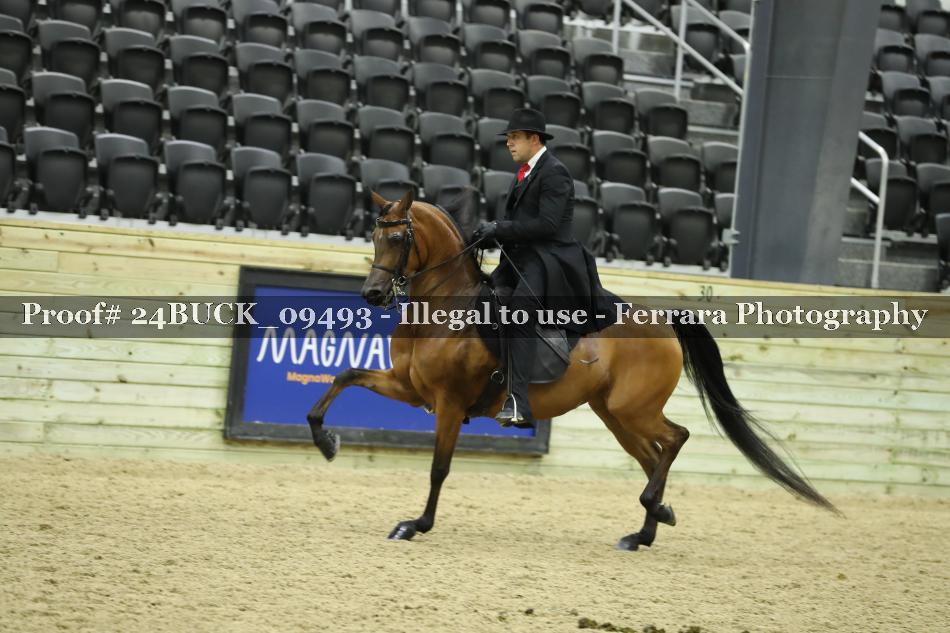 Proof 24BUCK_09493