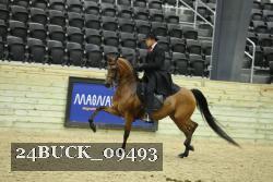 24BUCK_09493 proof