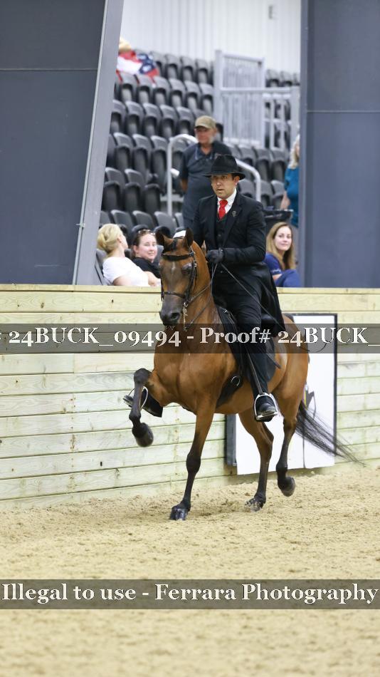 Proof 24BUCK_09494
