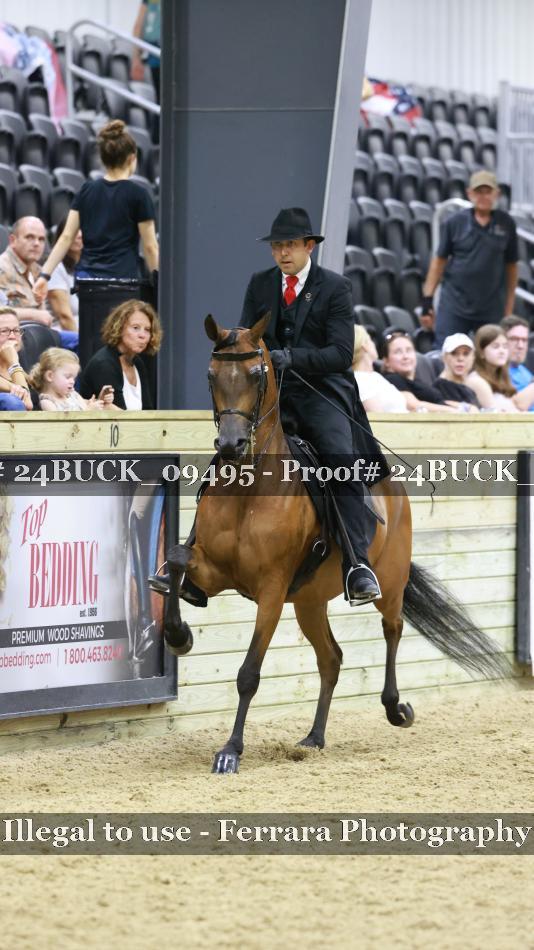 Proof 24BUCK_09495