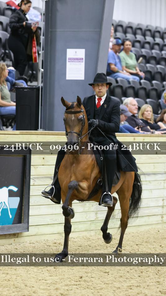 Proof 24BUCK_09496