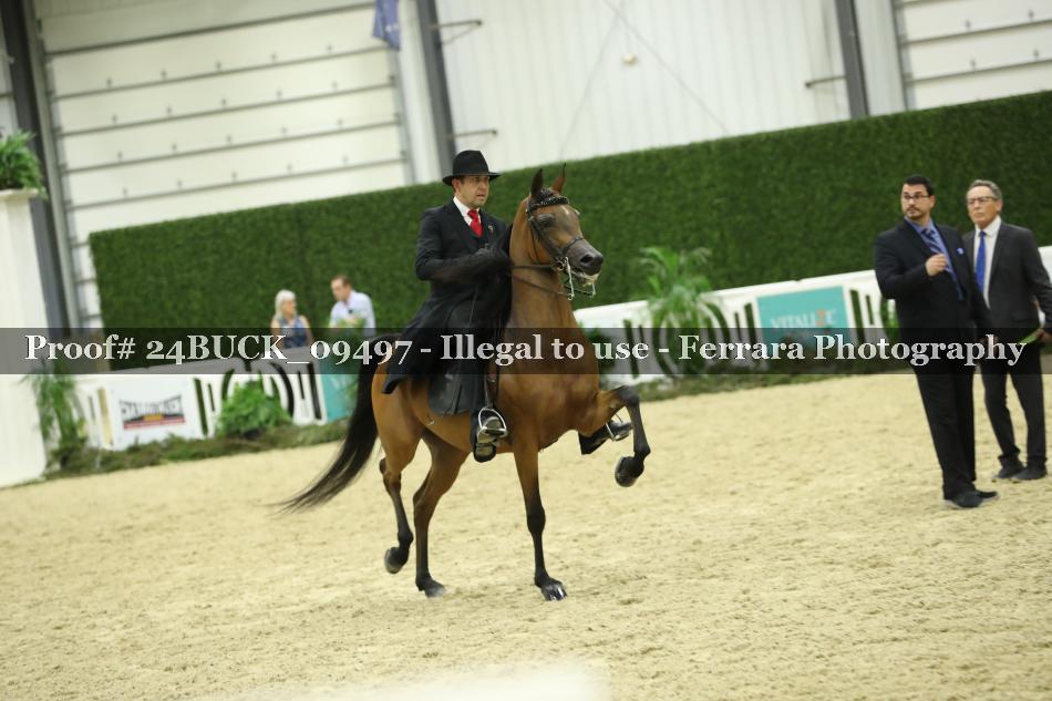 Proof 24BUCK_09497