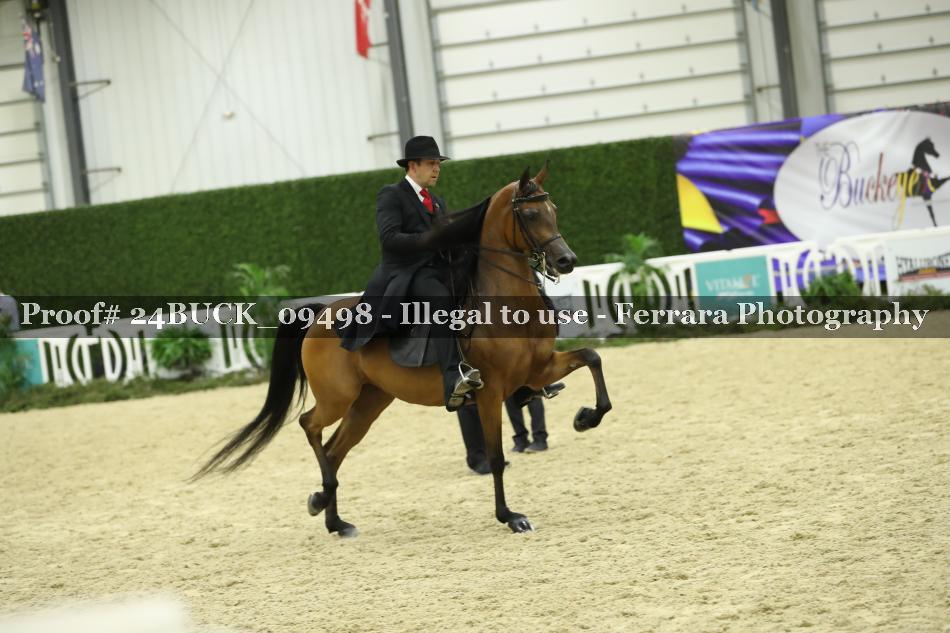 Proof 24BUCK_09498