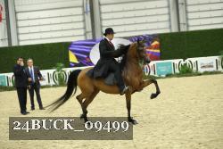 24BUCK_09499 proof