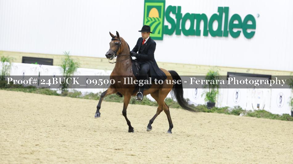 Proof 24BUCK_09500