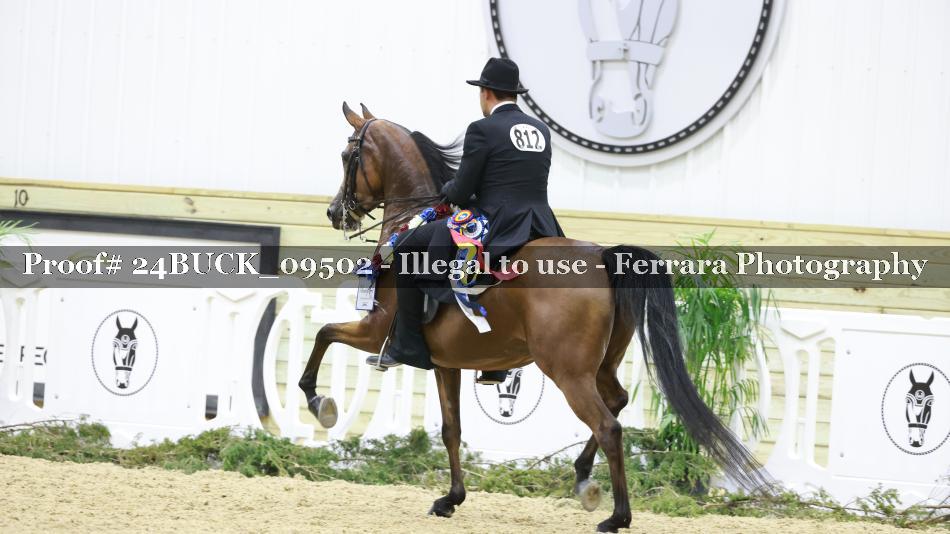 Proof 24BUCK_09502