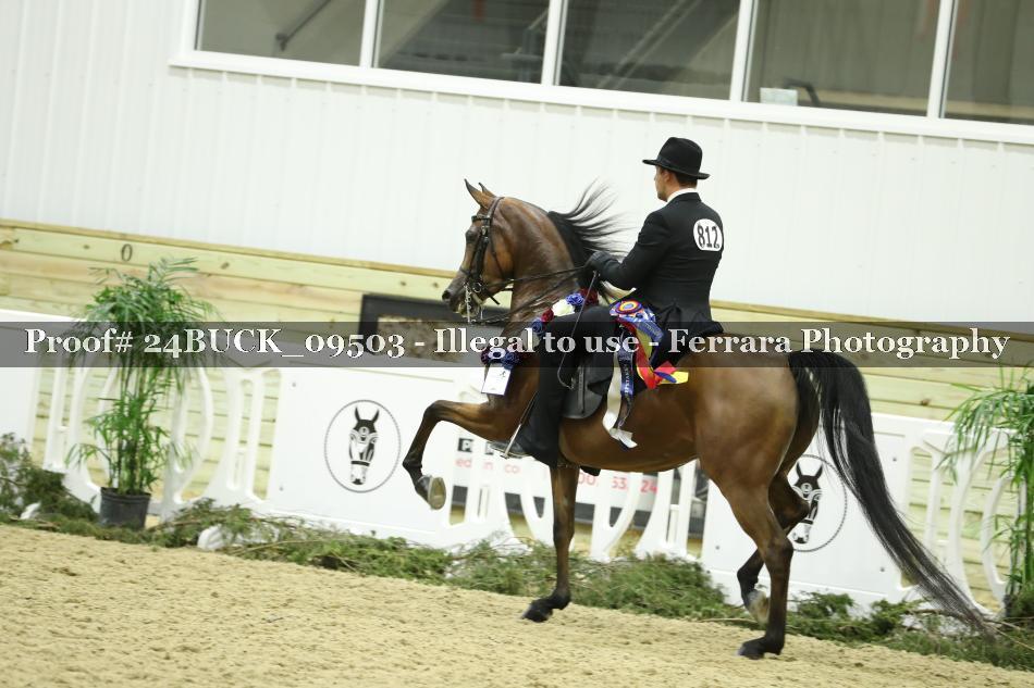 Proof 24BUCK_09503