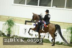 24BUCK_09503 proof