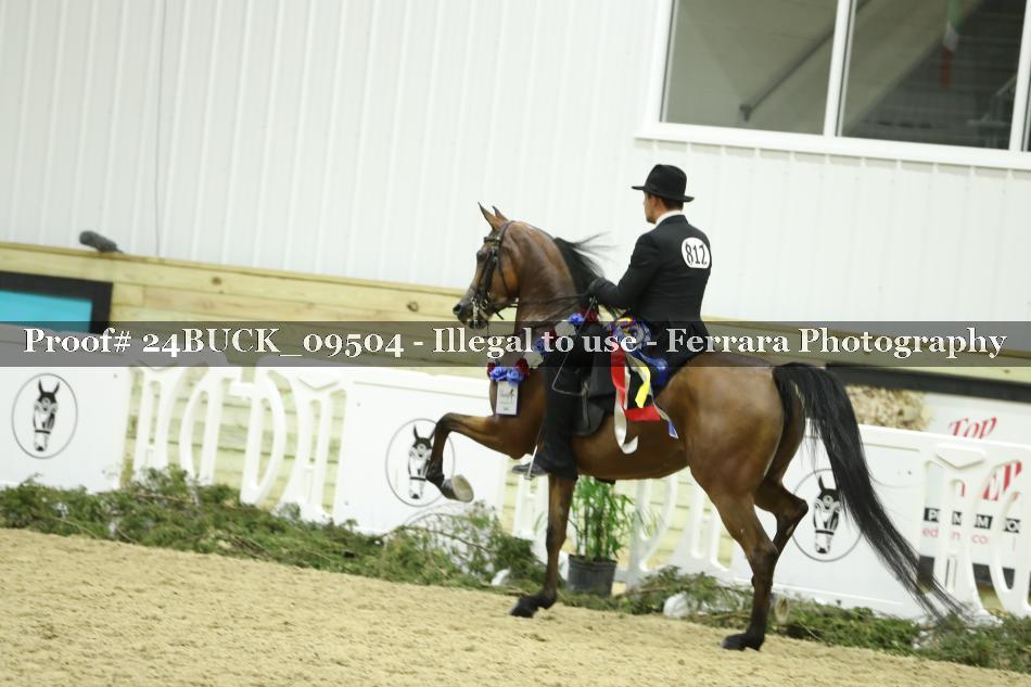 Proof 24BUCK_09504