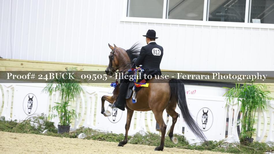 Proof 24BUCK_09505