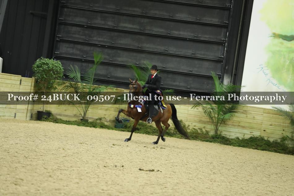 Proof 24BUCK_09507