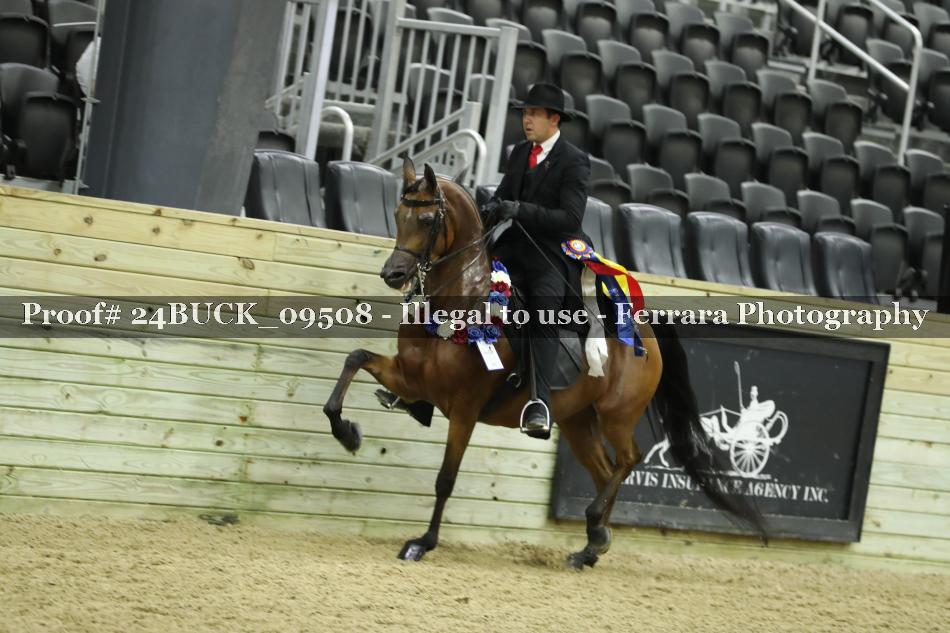Proof 24BUCK_09508