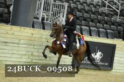 24BUCK_09508 proof