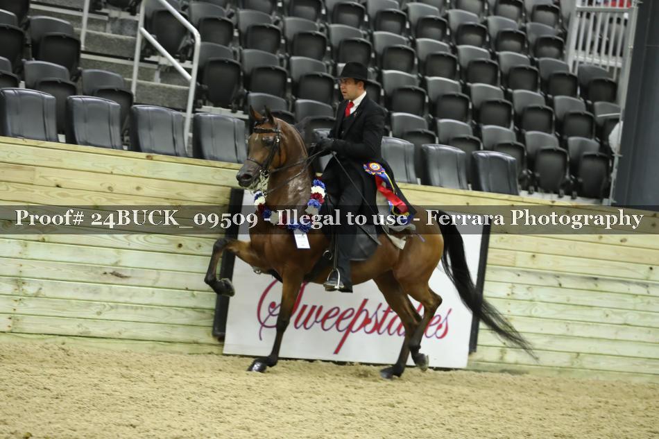 Proof 24BUCK_09509