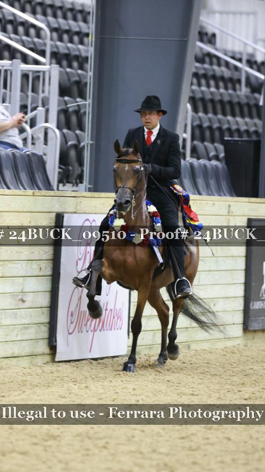 Proof 24BUCK_09510