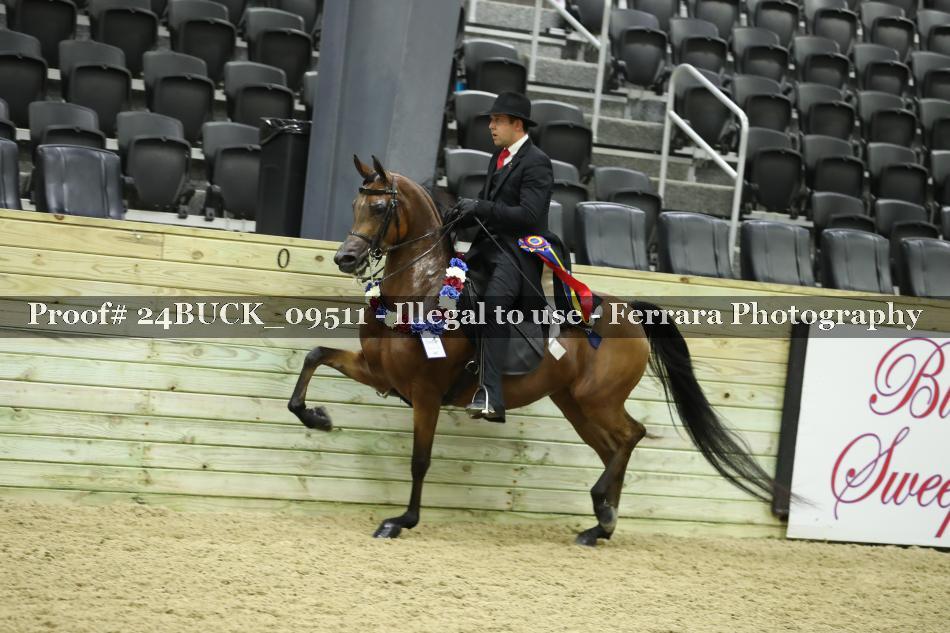 Proof 24BUCK_09511
