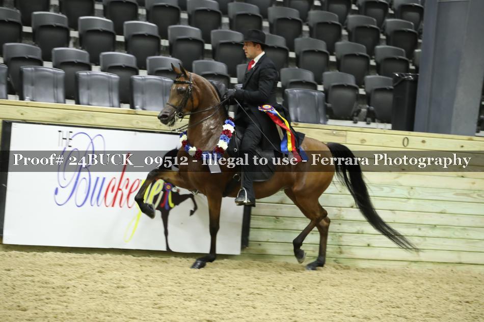 Proof 24BUCK_09512