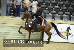 24BUCK_09513 proof