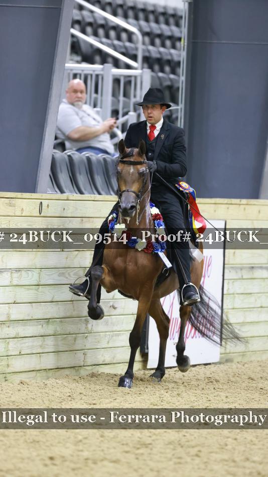Proof 24BUCK_09514