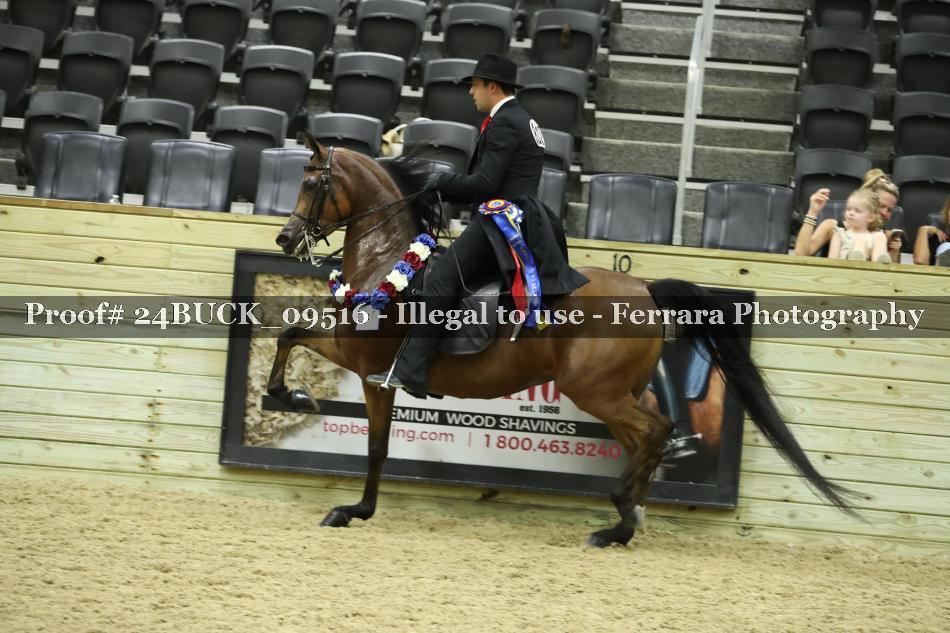 Proof 24BUCK_09516