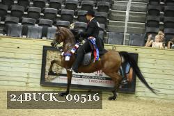 24BUCK_09516 proof