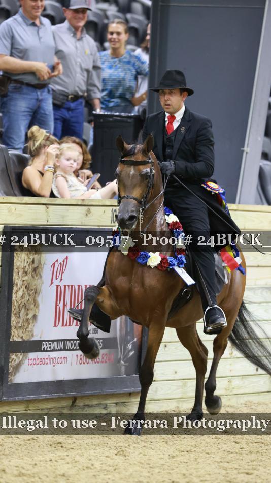 Proof 24BUCK_09517