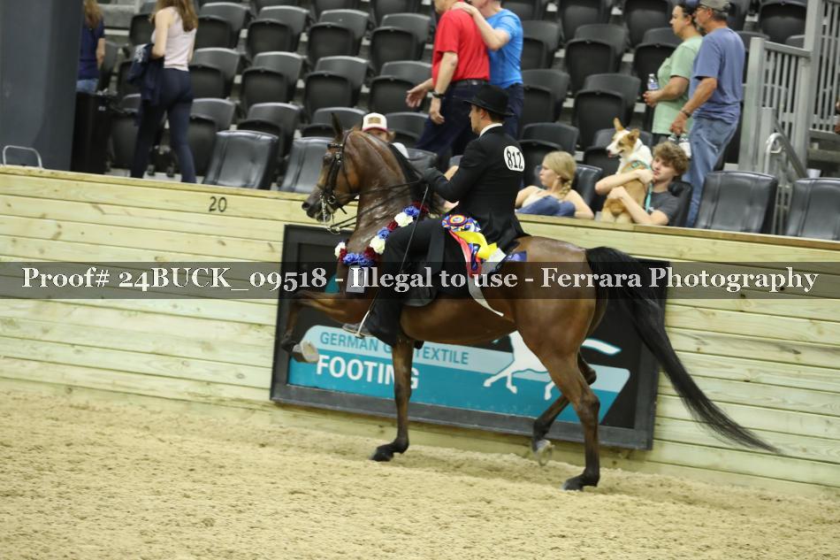 Proof 24BUCK_09518