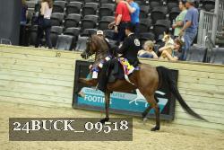 24BUCK_09518 proof